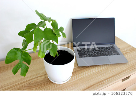 Foliage plant and notebook on the wooden table in the room 106323576