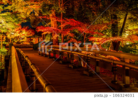秋の徳川園、紅葉のライトアップ〈愛知県名古屋市〉 秋の徳川園、紅葉のライトアップ〈愛知県名古屋市〉 106324031