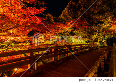 秋の徳川園、紅葉のライトアップ〈愛知県名古屋市〉 106324034