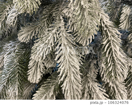 Snow on Christmas tree closeup 106324076