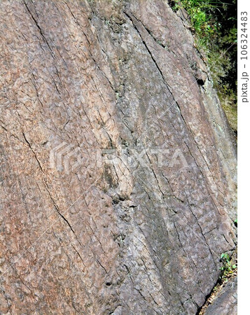 瀬林の漣痕 恐竜の足跡 瀬林の漣痕 恐竜の足跡 106324483