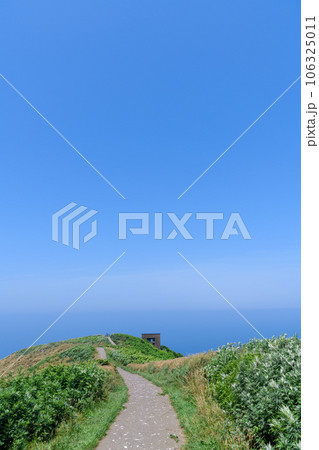 オロロンの島 天売島を歩く オロロンの島 天売島を歩く 106325011