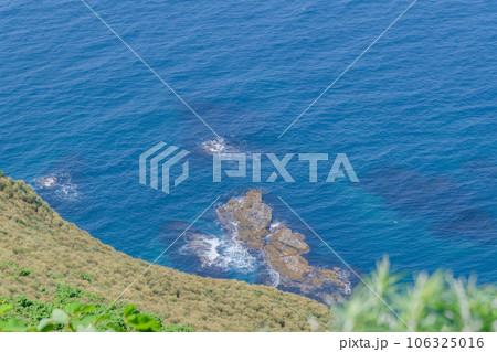 オロロンの島 天売島を歩く オロロンの島 天売島を歩く 106325016