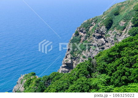 オロロンの島 天売島を歩く オロロンの島 天売島を歩く 106325022