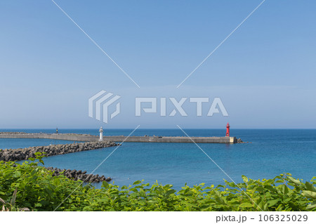 オロロンの島 天売島を歩く オロロンの島 天売島を歩く 106325029