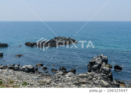 オロロンの島 天売島を歩く オロロンの島 天売島を歩く 106325047