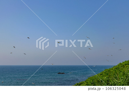 オロロンの島 天売島を歩く オロロンの島 天売島を歩く 106325048