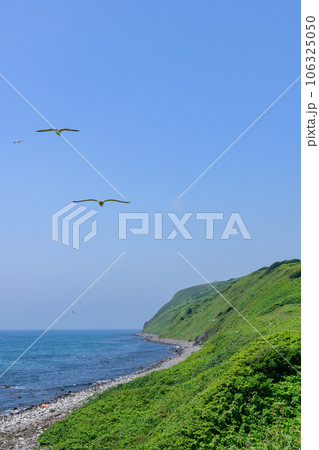 オロロンの島 天売島を歩く 106325050