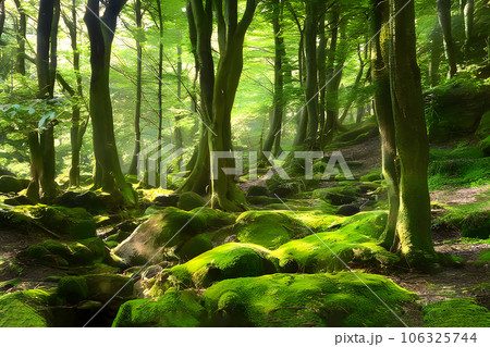green moss covering Beautiful pine and fir forest green moss covering Beautiful pine and fir forest 106325744
