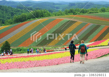 絶景花畑 106326011