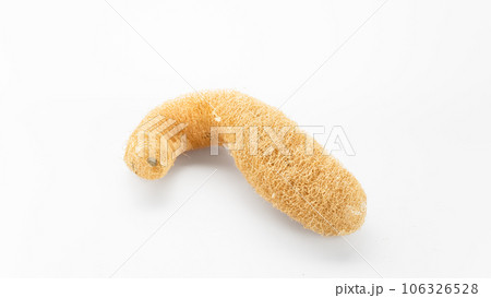 Luffa on a white background board. Luffa on a white background board. 106326528