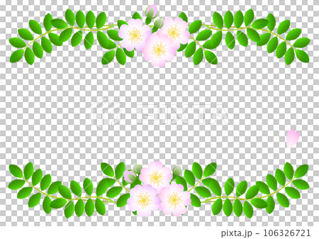 野玫瑰裝飾框架 106326721