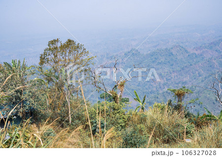 Beautiful tree and Mountain view of Bandarban, Bangladesh Beautiful tree and Mountain view of Bandarban, Bangladesh 106327028
