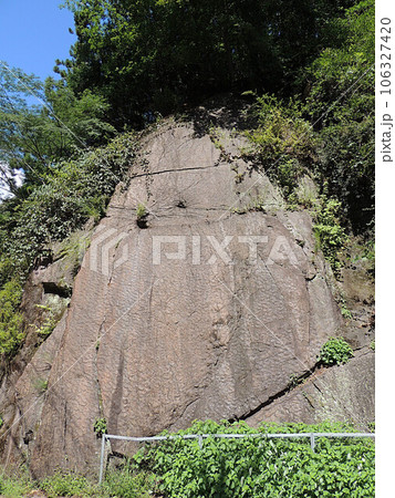 瀬林の漣痕 恐竜の足跡 瀬林の漣痕 恐竜の足跡 106327420