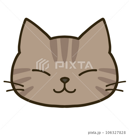 シンプルな線目のキジトラ猫 106327828