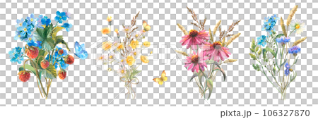 Watercolor botanical illustration, set of bouquets wild flowers with blue Cornflower herb, poppy, echinacea, chamomile and with butterflies, isolated on white background. 106327870
