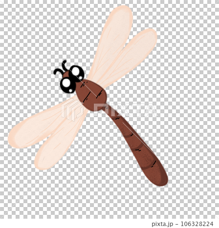 Dragonfly sketches  106328224