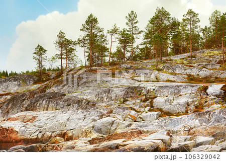 Nordic Autumn landscape  with mountainous coast of the island and pine forest 106329042