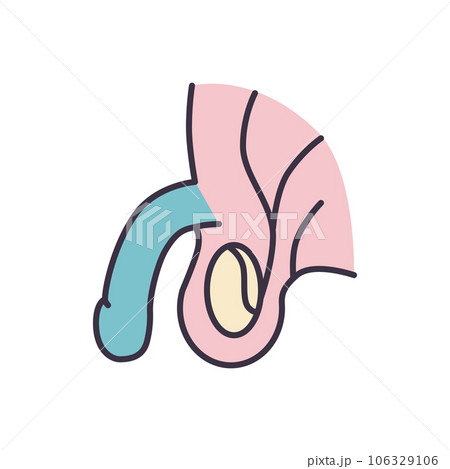 Male Reproductive System Vector Line Icons Male Reproductive System Vector Line Icons 106329106