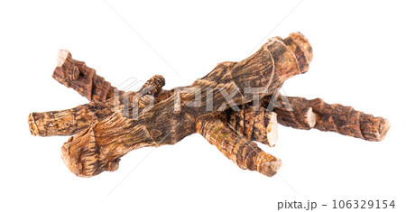 Calamus root isolated on white background. Sweet flag, sway or muskrat root, vasambu. Dry root of Acorus calamus. Calamus root isolated on white background. Sweet flag, sway or muskrat root, vasambu. Dry root of Acorus calamus. 106329154