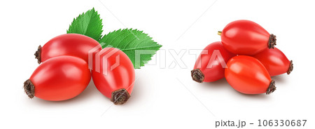 Rose hip isolated on a white background with full depth of field Rose hip isolated on a white background with full depth of field 106330687
