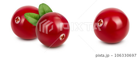 Cranberry isolated on white background with full depth of field Cranberry isolated on white background with full depth of field 106330697