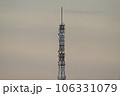 TV tower 106331079