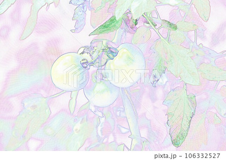 パステル調　”3個のトマト”　イラストイメージ 106332527