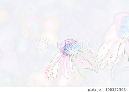パステル調　”エキナセア”　イラストイメージ 106332568