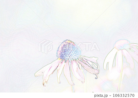 パステル調　”エキナセア”　イラストイメージ 106332570