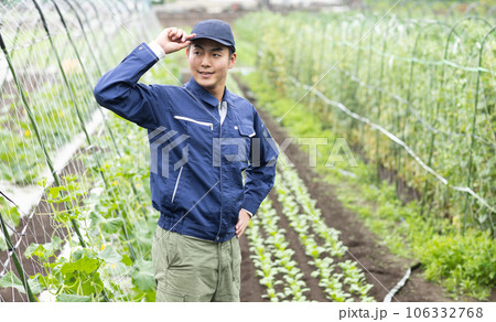 野菜を育てる農業従事者 106332768