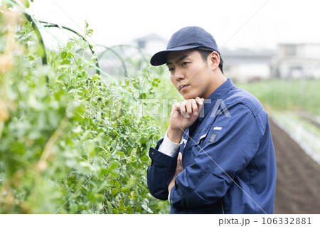 野菜を育てる農業従事者 野菜を育てる農業従事者 106332881