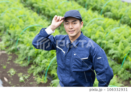 野菜を育てる農業従事者 野菜を育てる農業従事者 106332931