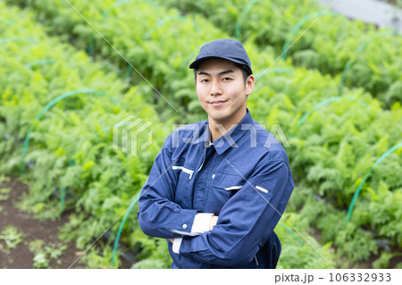 野菜を育てる農業従事者 野菜を育てる農業従事者 106332933