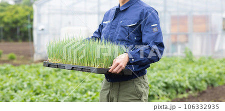 野菜を育てる農業従事者 野菜を育てる農業従事者 106332935