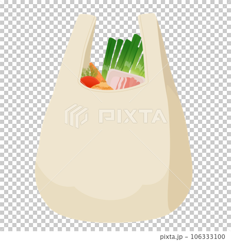 食材が入ったエコバッグ 106333100