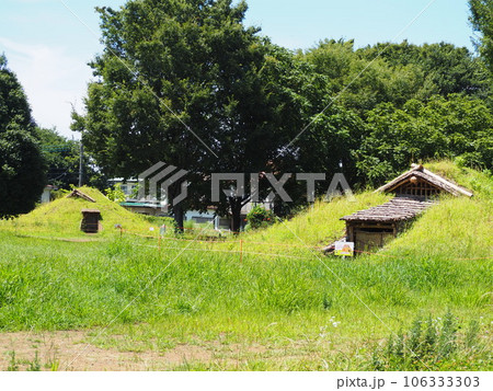 下野谷遺跡 下野谷遺跡 106333303