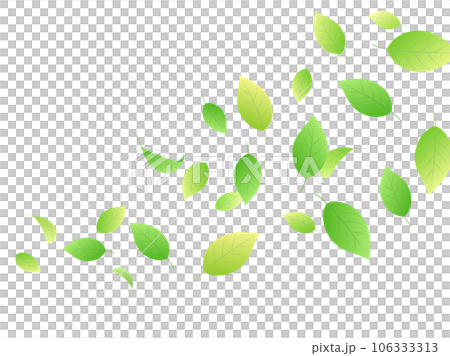 舞動清新綠葉形象 106333313