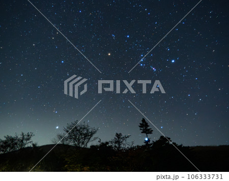 オリオン座と冬の大三角 オリオン座と冬の大三角 106333731
