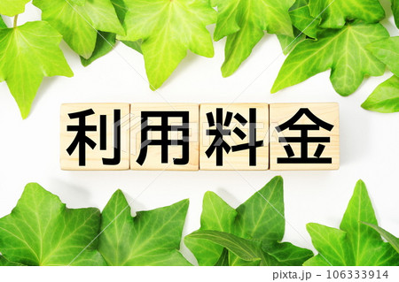 利用料金　福祉・介護関連のキーワード素材 106333914