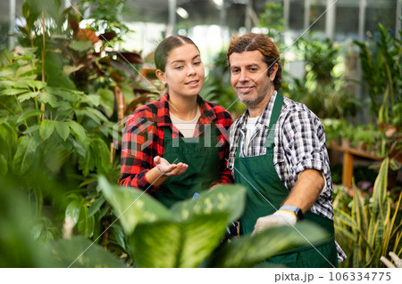 Flower shop workers talking together what flowers to care for Flower shop workers talking together what flowers to care for 106334775