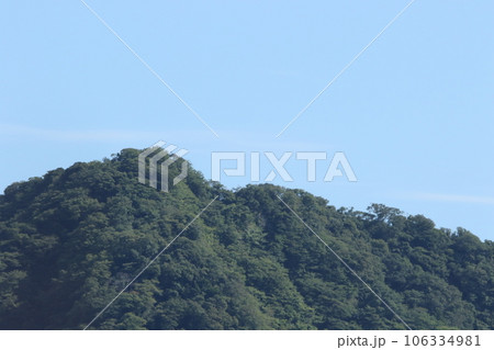 保田海岸を歩いた 106334981