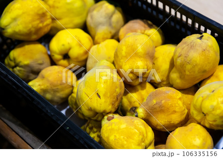 Quince in plastic box Quince in plastic box 106335156