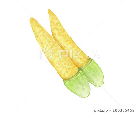 baby corn watercolor illustration isolated element 106335458