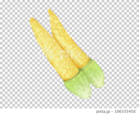 baby corn watercolor illustration isolated element 106335458
