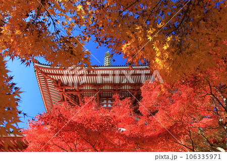 成田山公園の紅葉 106335971