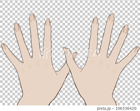 Women's hands 106336420