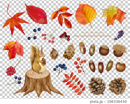 秋の落ち葉のカットイラストセット 106336430
