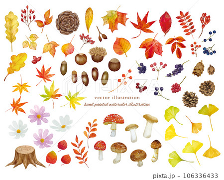 秋の落ち葉のカットイラストセット 秋の落ち葉のカットイラストセット 106336433