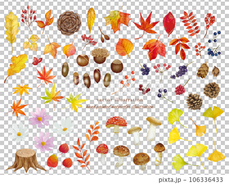 Autumn fallen leaves cartoon set 106336433